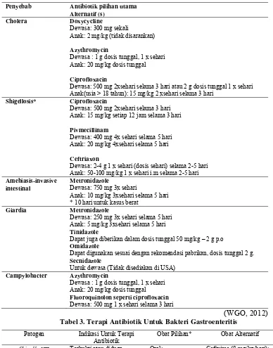 Tabel 3. Terapi Antibiotik Untuk Bakteri Gastroenteritis 
