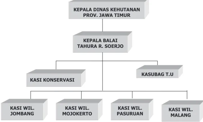 Gambar  2.  Bagan  Struktur  Organisasi  Balai  Taman  Hutan  Raya  R.  