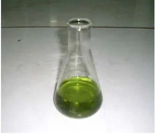 Gambar 8. Partisi metanol dari ekstrak metanol S. echinocarpum