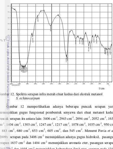 Gambar 12. Spektra serapan infra merah eluat kedua dari ekstrak metanol  