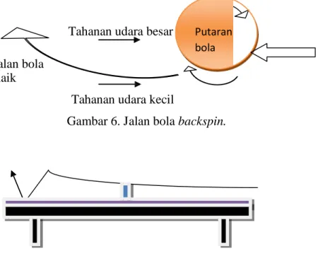 Gambar 6. Jalan bola backspin.