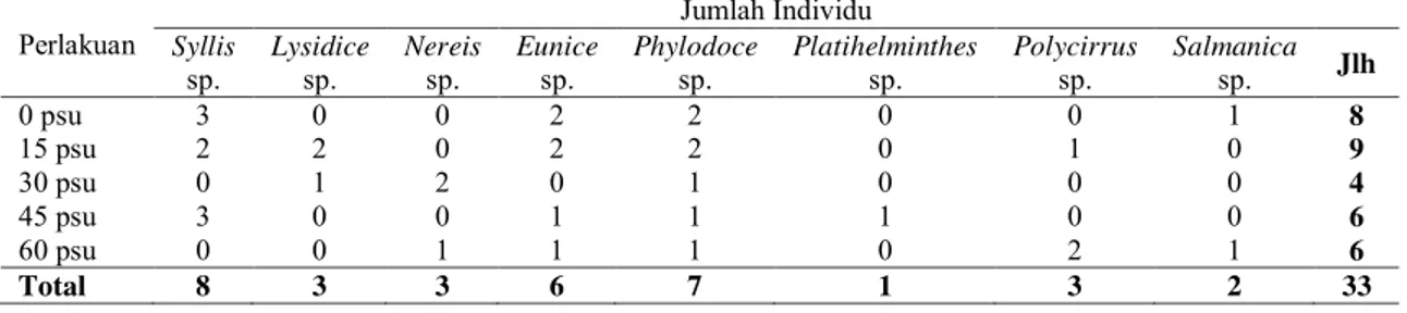 Tabel 3. Jenis dan jumlah individu polikaeta hasil pengerikan cangkang tiram mutiara 