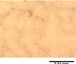 Gambar 11. Struktur mikro produk cor 1 setelah  perlakuan panas hasil pengamatan dengan  optical microscope, etsa nital 5%, perbesaran 