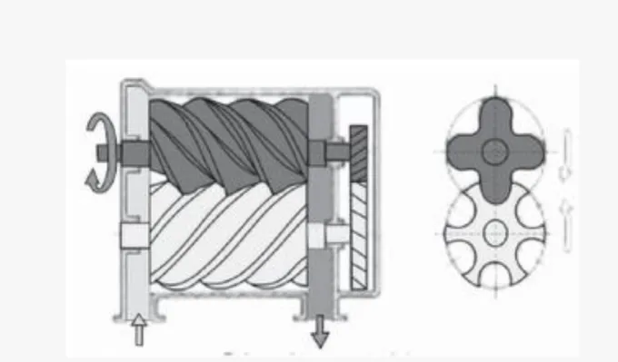 Gambar 2.8. Rotary screw 