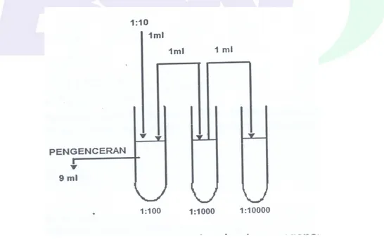 Gambar A.1 - Tingkat pengenceran menggunakan larutan pengencer Butterfield’s  hosphate Buffered Dilution Water (BPB) 
