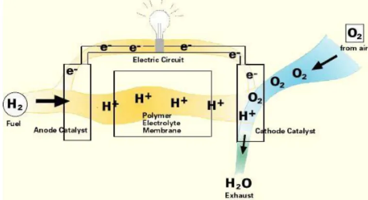 Gambar 2. Sel Bahan Bakar 