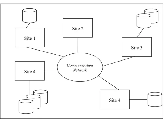 Gambar 1. Lingkungan Basis Data Terdistribusi ( Valduriez P. 1999) 