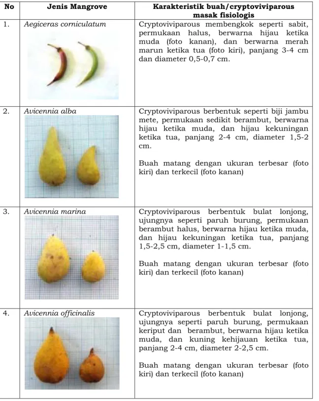 Tabel 2. Karakteristik buah/ cryptoviviparous mangrove yang sudah matang fisiologis  No  Jenis Mangrove  Karakteristik buah/cryptoviviparous  