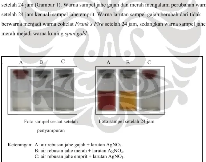 Gambar 1. Warna sampel jahe gajah, jahe merah, dan jahe emprit sesaat setelah percampuran  dan perubahannya setelah 24 jam
