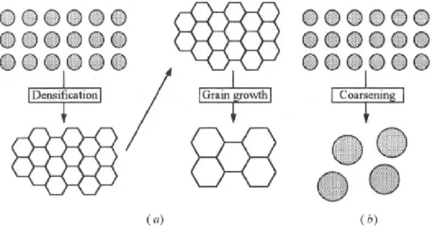 Gambar II.7. Dua mekanisme proses reduksi permukaan bebas partikel   (a) Proses densifikasi; (b) Proses pengkasaran butir [3] 