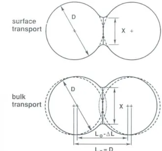 Gambar II.3. Dua kandidat mekanisme transport massa pada  sintering fasa padat  [4]