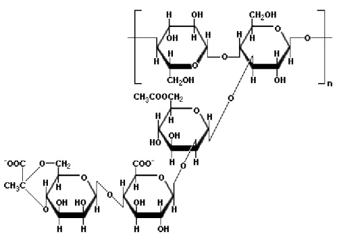 Gambar 1. Struktur kimia gum arab  