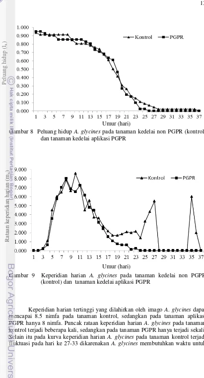 Gambar 8  Peluang hidup A. glycines pada tanaman kedelai non PGPR (kontrol) 
