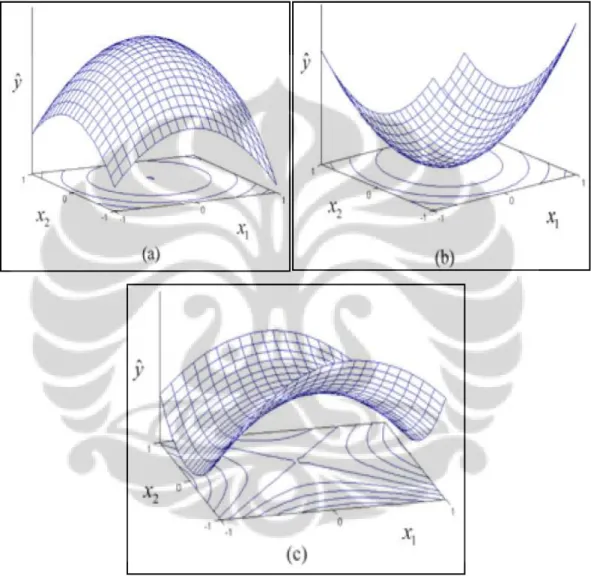 Grafik  hasil  model  yang  telah  dioptimasi  dapat  dilukiskan  dalam  ruang  berdimensi  tiga  seperti  pada  gambar  2.11  berikut