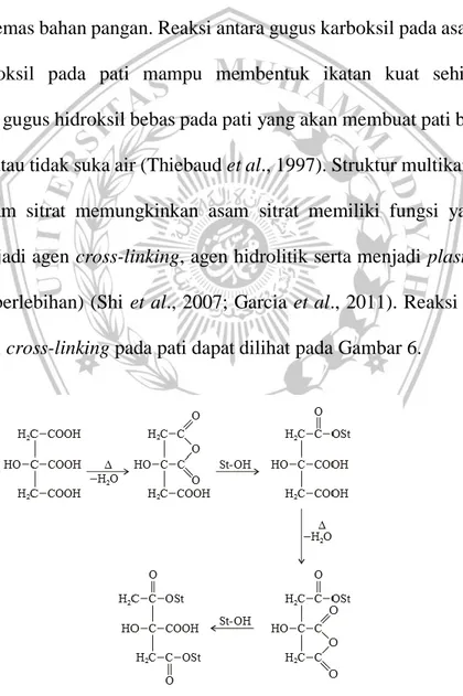 Gambar 6. Reaksi Cross-linking Asam Sitrat pada Pati (Chowdary, et al., 2011).