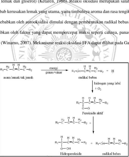 Gambar 7. Reaksi Oksidasi FFA (Winarno, 2002) 