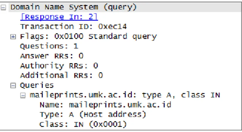 Gambar 4.8. DNS Paket Data di Jaringan 