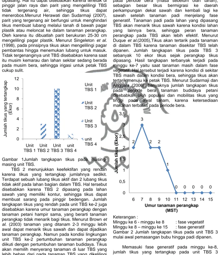 Gambar 1Jumlah tangkapan tikus pada masing- masing-masing unit TBS. 