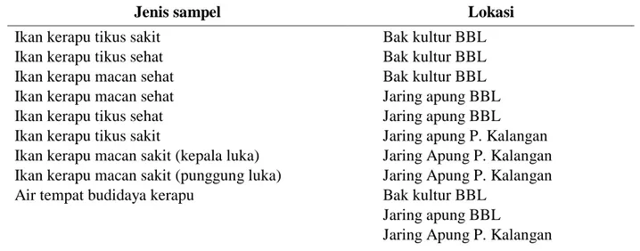 Tabel 1.   Sampel ikan dan air yang dianalisa bakteri patogen dan bakteri  penghambatnya dari  Lampung