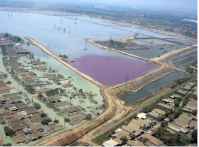 Gambar 1.4. Genangan air lumpur yang berwarna merah muda menunjukkan kandungan phenol yang tinggi (Sumber foto : www.hotmudflow.wordpress.com, Juli 2006) 