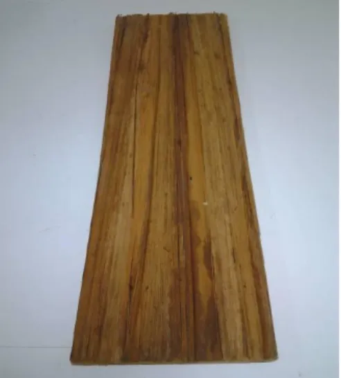 Gambar 10. Material gaba-gaba  dengan permukaan alami 