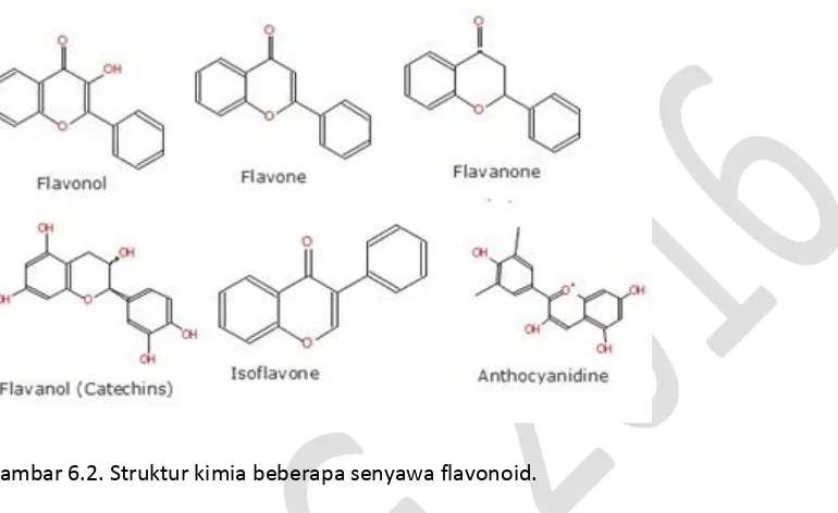 Gambar 6.2. Struktur kimia beberapa senyawa flavonoid. 
