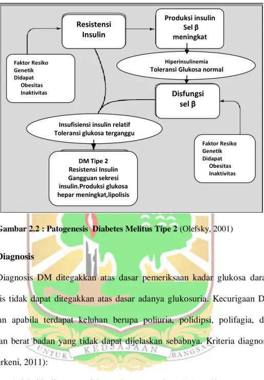 Gambar 2.2 : Patogenesis  Diabetes Melitus Tipe 2 (Olefsky, 2001)  
