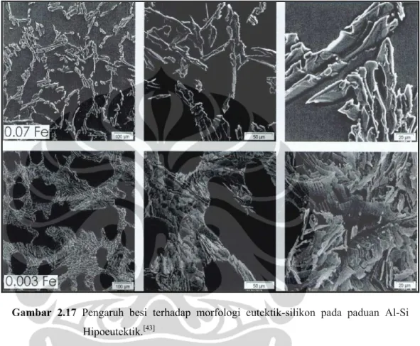 Gambar 2.17 Pengaruh besi terhadap morfologi eutektik-silikon pada paduan Al-Si  Hipoeutektik