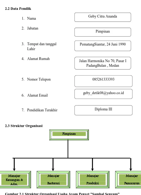 Gambar 2.1 Struktur Organisasi Usaha Ayam Penyet ”Sambal Senyum”  