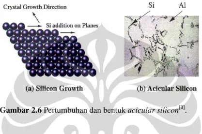 Gambar 2.6 Pertumbuhan dan bentuk acicular silicon  