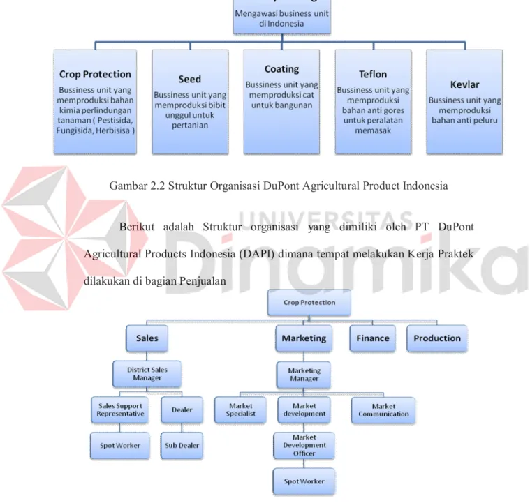 Gambar 2.2 Struktur Organisasi DuPont Agricultural Product Indonesia 