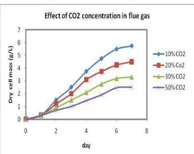 Gambar 4: Pengaruh konsentrasi CO2 terhadap pertumbuhan mikroalga
