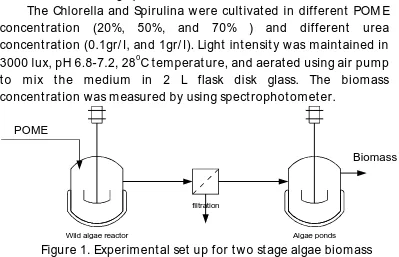 Figure 1. Experimental set up for two stage algae biomass 