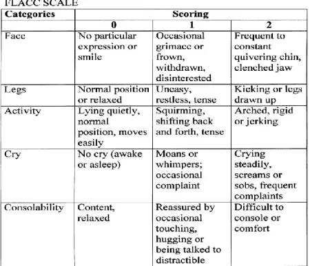 Gambar 4. Behaviour Pain Scale (BPS) 