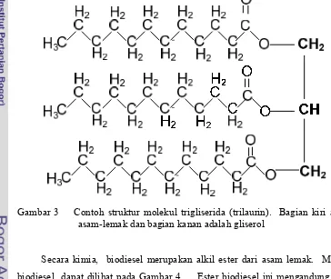 Gambar 3    Contoh struktur molekul trigliserida (trilaurin).  Bagian kiri adalah 