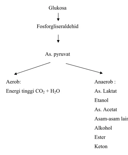 Tabel 1 : Dasar biokimia dari Fermentasi bahan pangan 