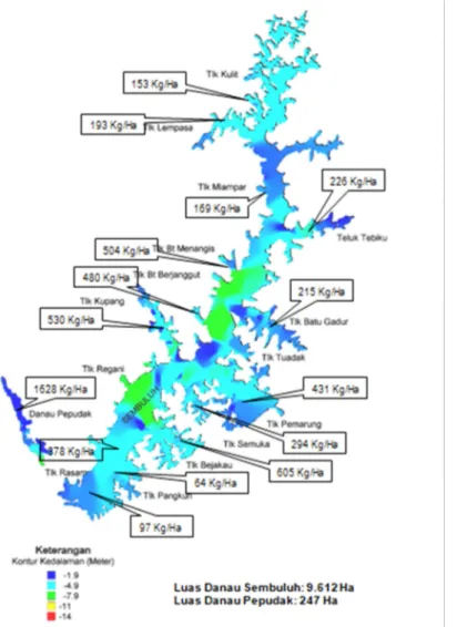 Gambar 2. Distribusi Biomassa Ikan di Danau Sembuluh dan Papudak Figure 2. Distribution of fish biomass of Sembuluh and Papudak lakes Potensi produksi ikan di beberapa perairan danau