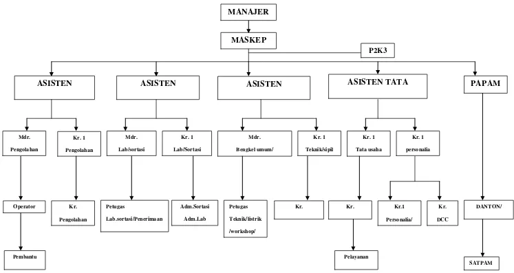 Gambar 2.1. Struktur Organisasi PKS Aek Torop 
