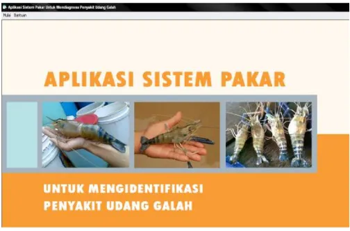 Gambar 2. ERD Sistem Pakar Udang Galah 