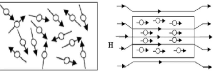 Gambar 2.5 Arah partikel pada magnet isotropi dan anisotropi  (a) Arah partikel acak (Isotrop)  