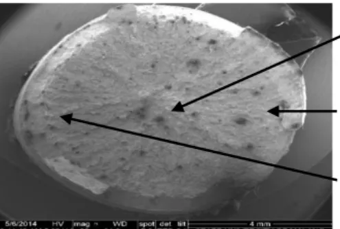 Gambar 2. Hasil pengamatan struktur mikro (SEM) baja St 60 menggunakan kadar dromus oil 20% 