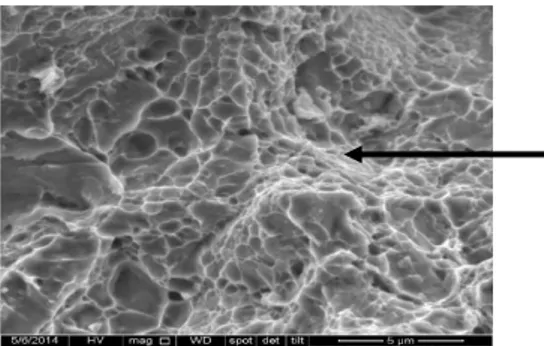 Gambar 2.d. Hasil pengamatan struktur mikro (SEM) baja St 60 menggunakan kadar dromus oil 20% 