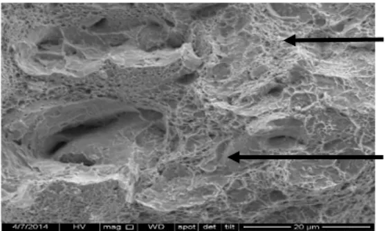 Gambar 3.c. Hasil pengamatan struktur mikro (SEM) baja St 60 menggunakan kadar dromus oil 30% 