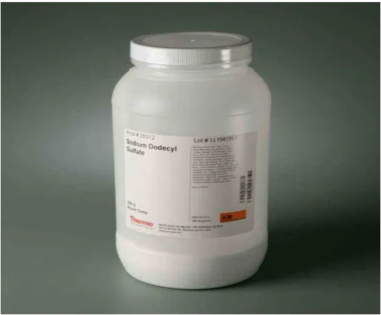 Gambar C.1Surfaktan Sodium Dodecyl Sulfate (SDS)  