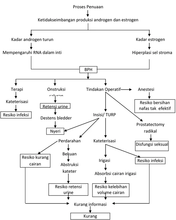 Gambar  2.1  Alur  Asuhan  Keperawatan  Pasien  BPH  Nursalam  (2009)  dan Mutaqqin ( 2009 )