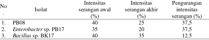 Tabel 4.4.1 Pengamatan intensitas serangan awal R. microporus dengan cara  aplikasi isolat 30 hari setelah inokulasi jamur patogen 