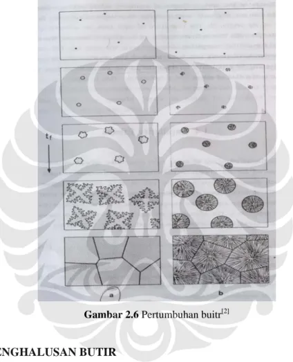 Gambar 2.6 Pertumbuhan buitr [2] 
