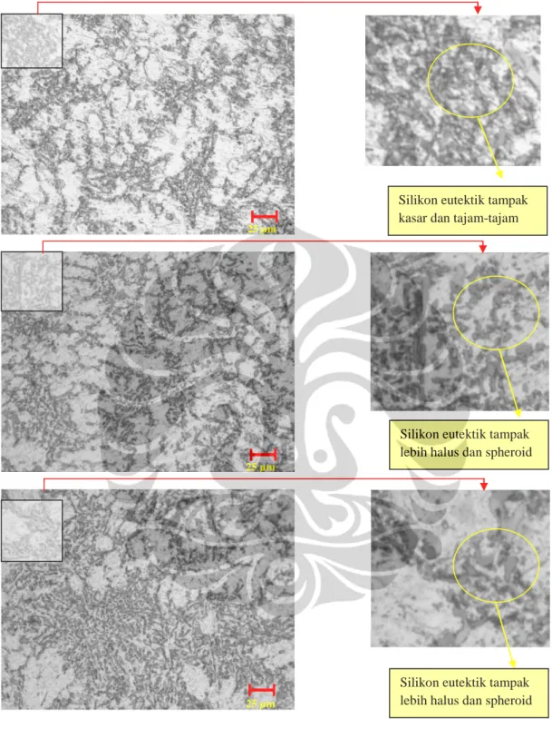 Gambar 4.5  Hasil dan analisa mikrostruktur perbandingan sampel as cast, T4,   dan T6 dengan perbesaran  1000 X 