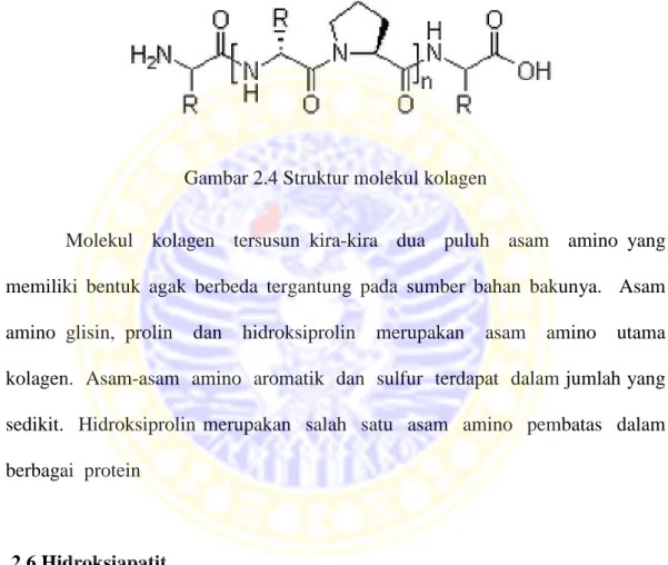 Gambar 2.4 Struktur molekul kolagen 