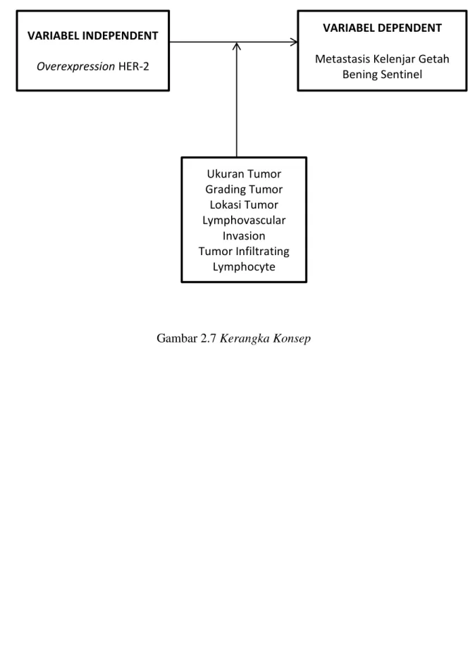 Gambar 2.7 Kerangka Konsep 